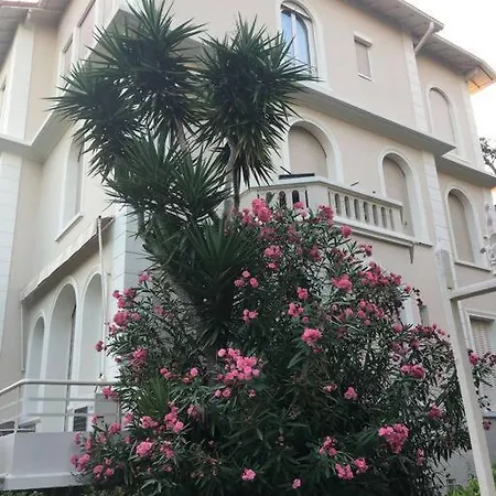 Cozy 1 Bedroom Flat,free Parking, Close To Center *